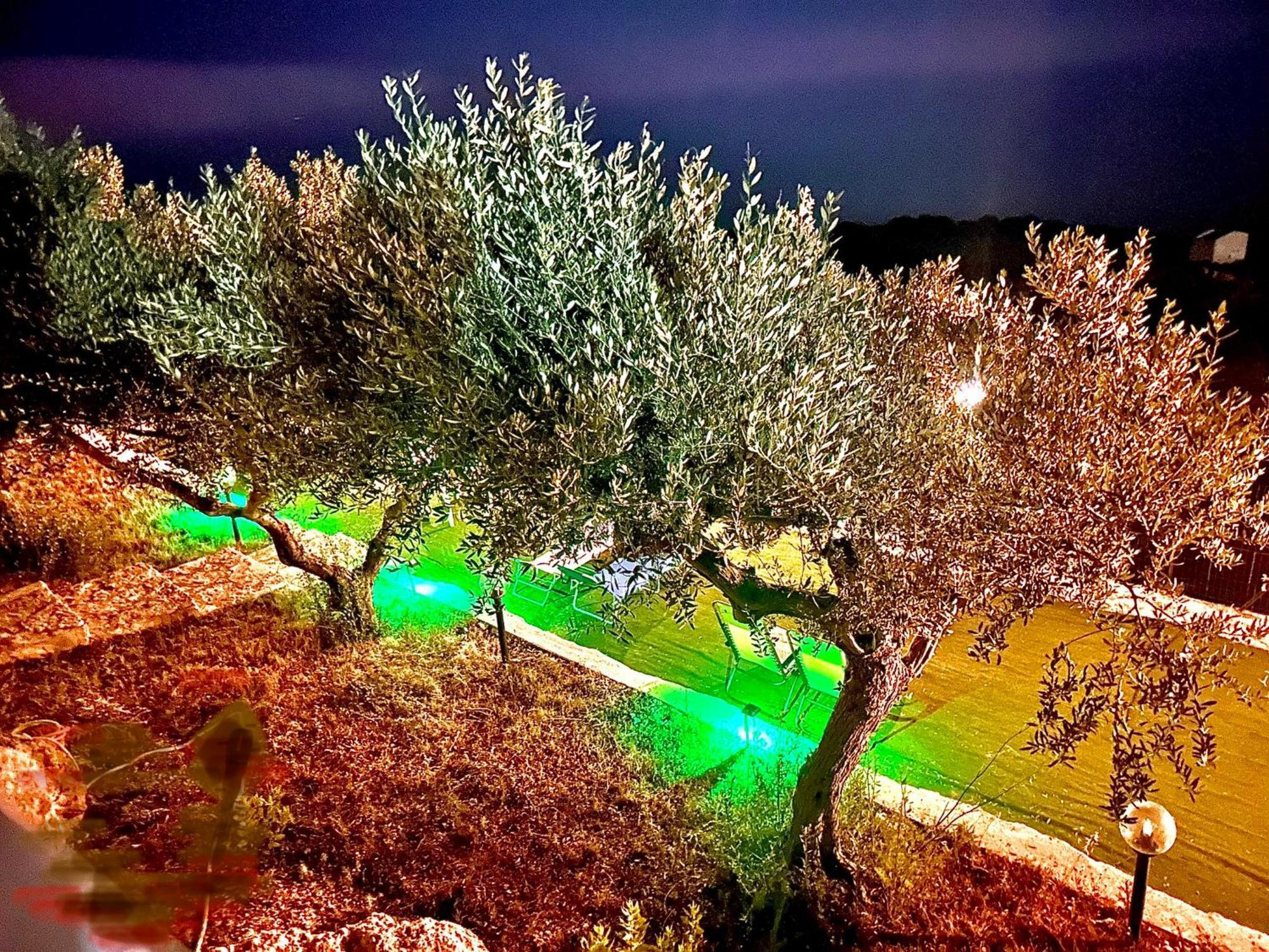 La Collina Sul Mare Acomodação com café da manhã Palma di Montechiaro Exterior foto