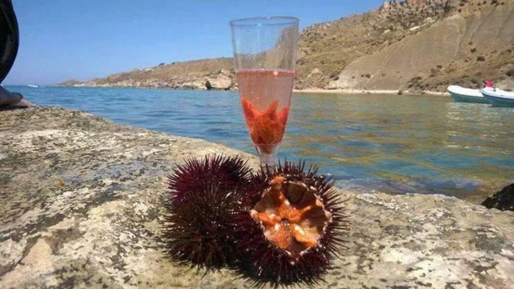 La Collina Sul Mare Acomodação com café da manhã Palma di Montechiaro Exterior foto